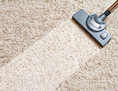 Carpet Cleaning